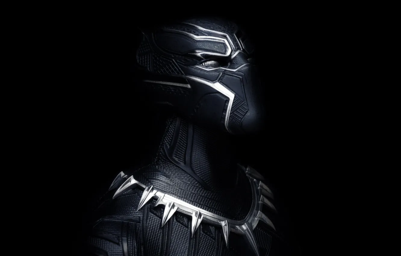 Фото обои маска, броня, Black Panther
